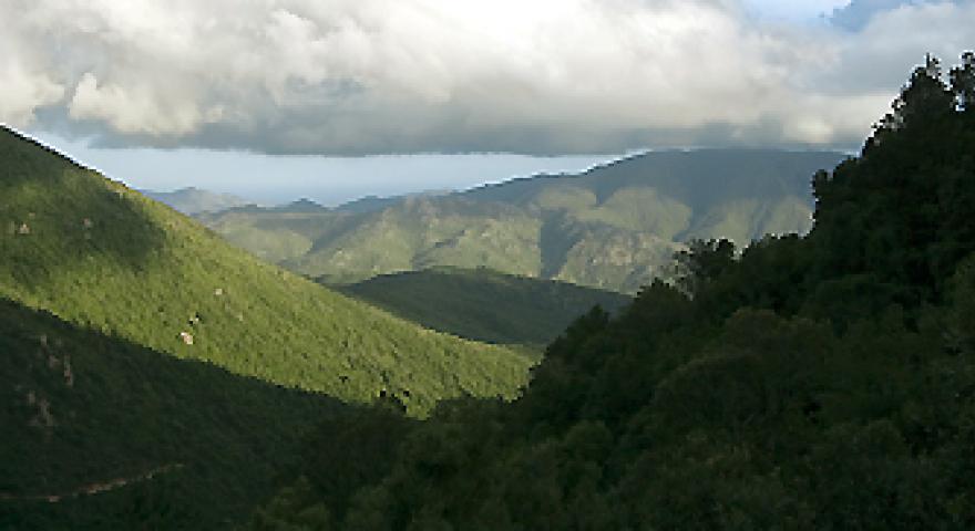 Pantaleo, panorama