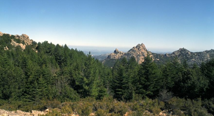 Limbara, punta Bandera