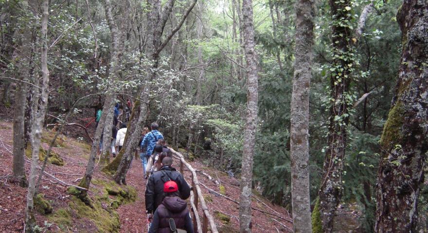 Nordic Walking lungo il Rio Ermolinos, Soc. Coop. Lugori