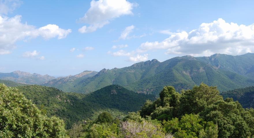 Panorama