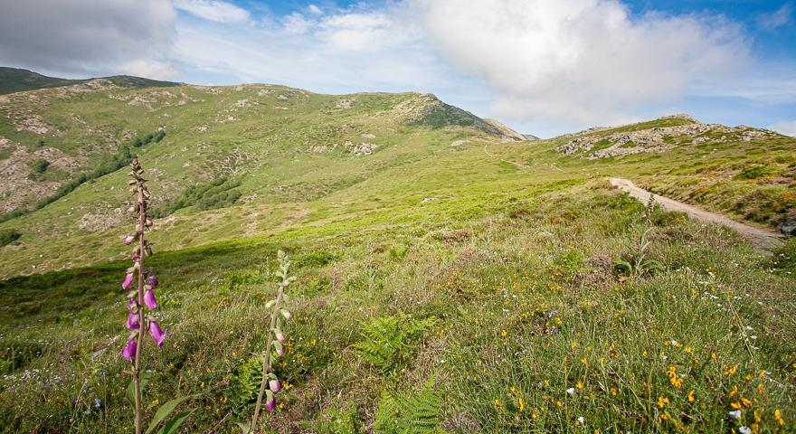 Verso Arcu Artilai
