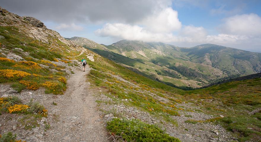 Sui pendii occidentali del Bruncu Spina