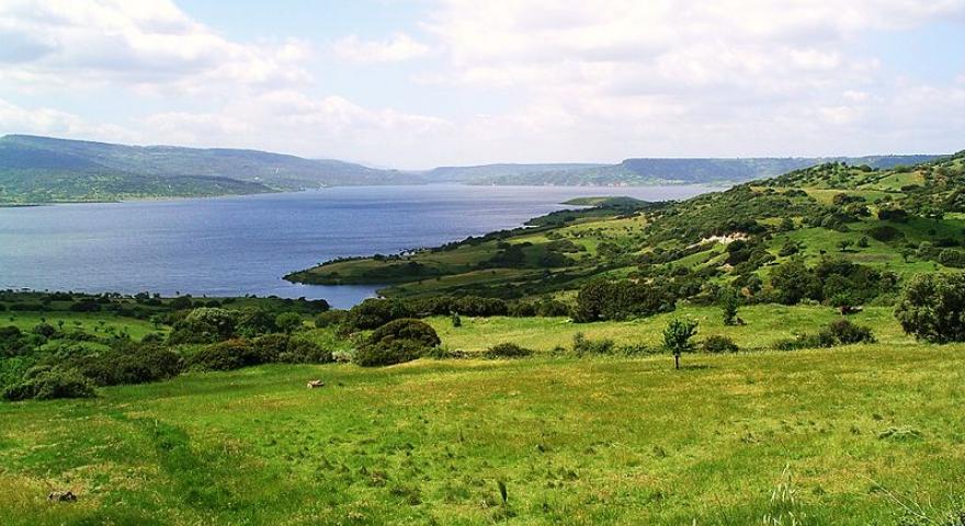 Lago Omodeo