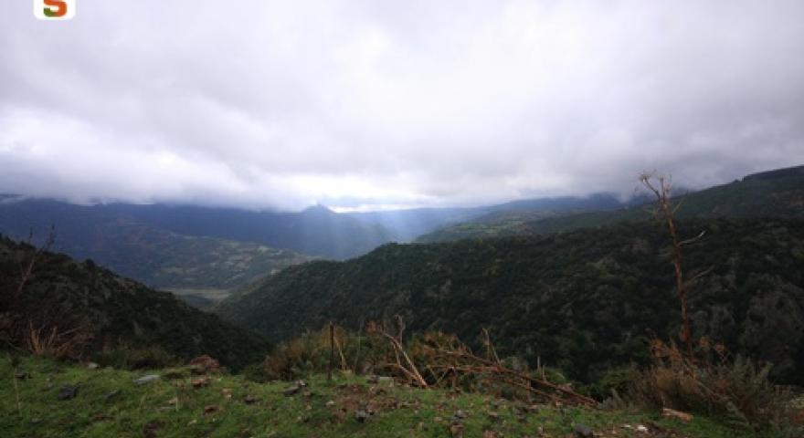 Aritzo, paesaggio autunnale in località Funtana Cungiada 