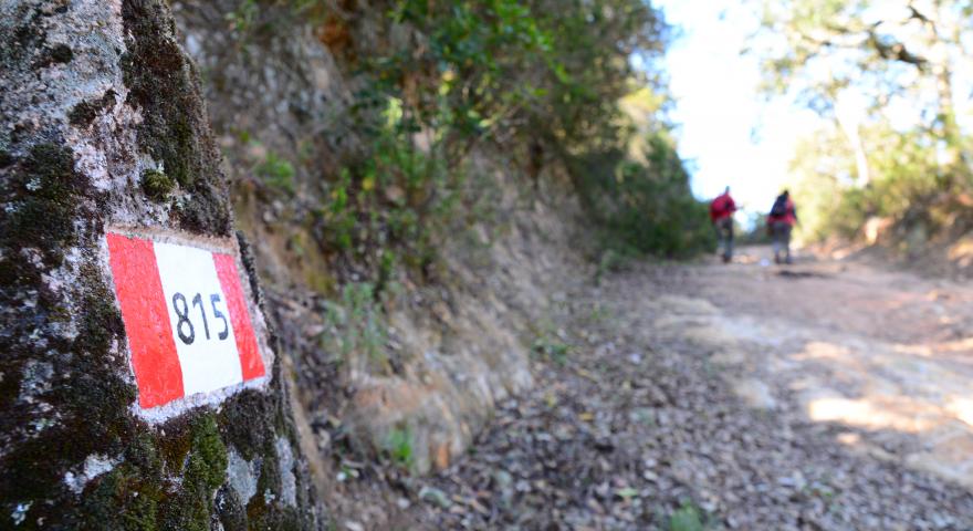 Lungo il sentiero 815
