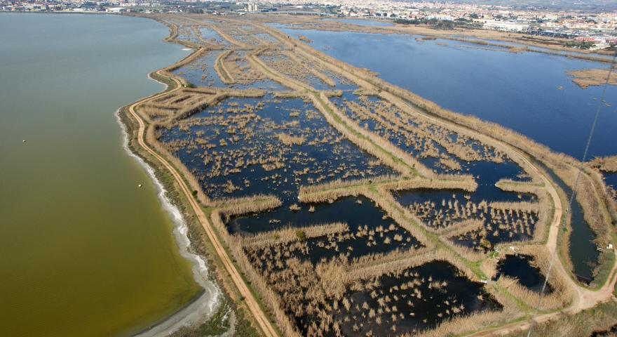 Ecosistema Molentargius