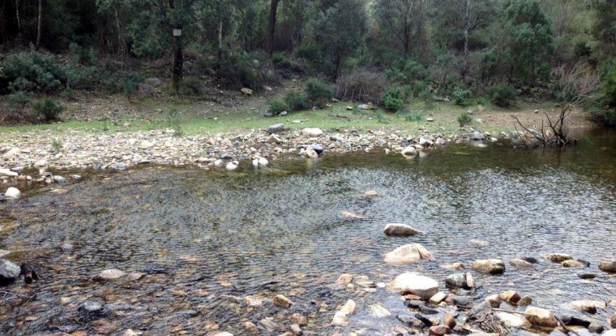 lungo il sentiero 201: località Is Canargius (torrente)