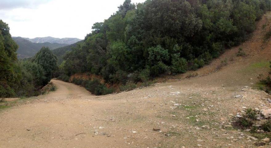 lungo il sentiero 201: panoramica su una cresta al km 7,350 da quota 315 m lungo il sentiero 201: panoramica su una cresta al km 7,350 da quota 315 m