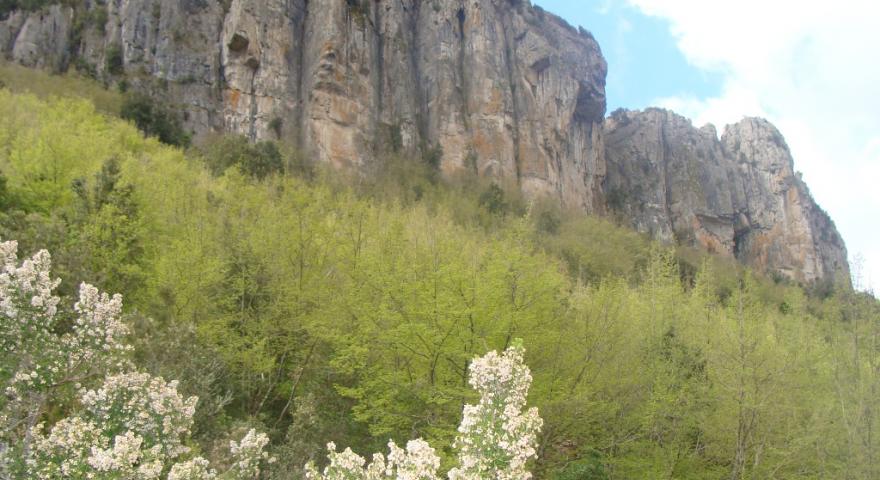 Falesia del Tonneri, Seui