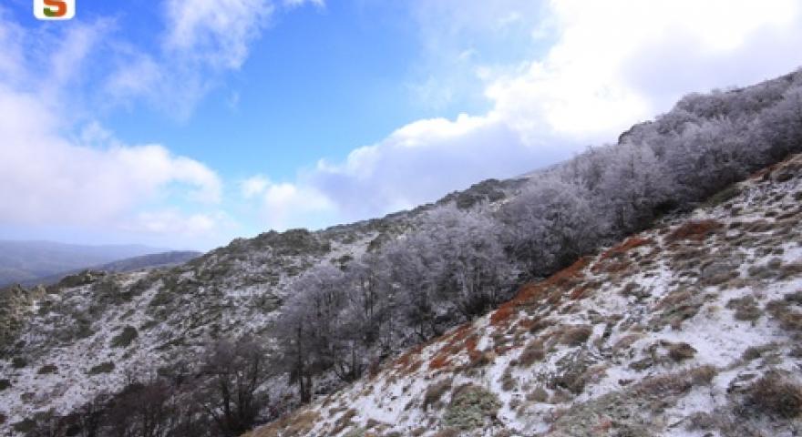 Gennargentu, paesaggio invernale a Bruncu Spina 