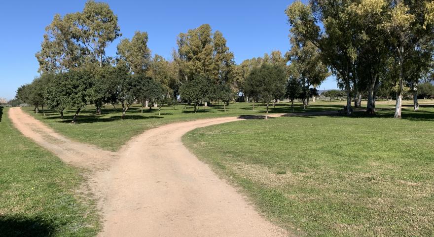 area verde D 704