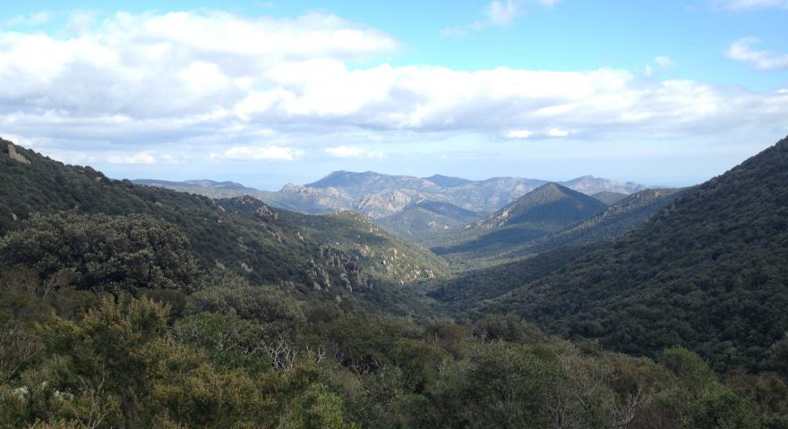 Panorama da S'arcu e' s'arena meta del sentiero 216