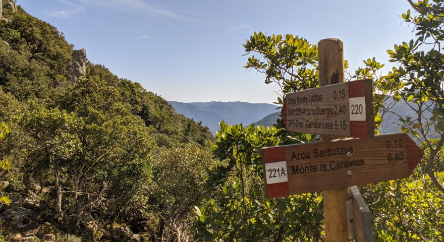 Panorama presso il Crocevia di S'Ena Manna