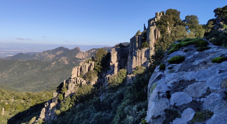 verso la cima di Is Pauceris Mannus: sguardo su M.Levanti verso la cima di Is Pauceris Mannus: sguardo su M.Levanti