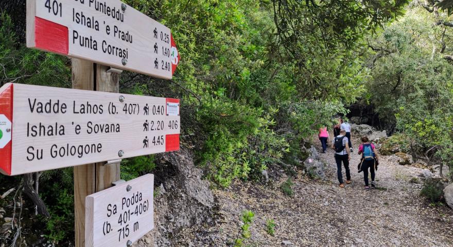 Sentiero 401: il tratto presso sa Podda (715 mslm) Sentiero 401: il tratto presso sa Podda (715 mslm)