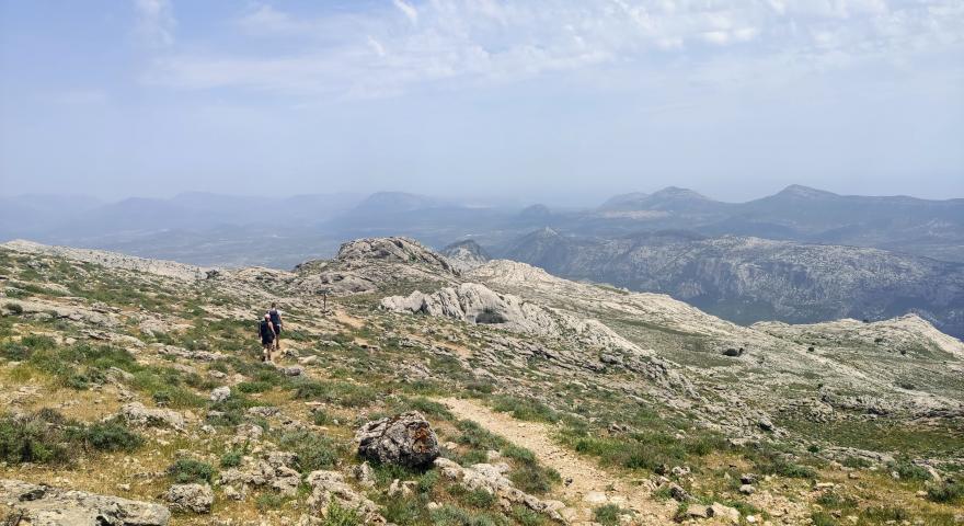Sulla cima del Corrasi, nei pressi del bivio 401-402 Sulla cima del Corrasi, nei pressi del bivio 401-402