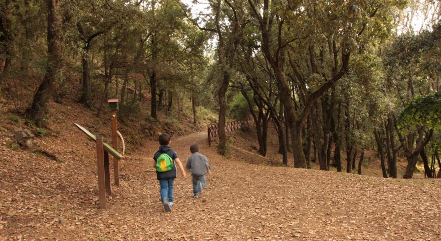 Bimbi nel Bosco di Monte Arrubio (Soleminis - CA)