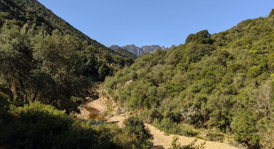 La valle del Canale Perdu Melis, dominata dalle creste del Lattias La valle del Canale Perdu Melis, dominata dalle creste del Lattias