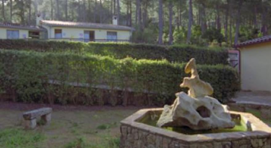 Limbara nord