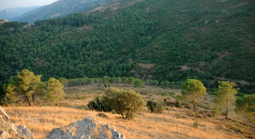Texile, la valle