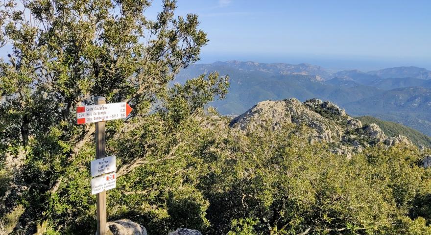 L'arrivo sulle cime del Lattias (foto A.Saba)