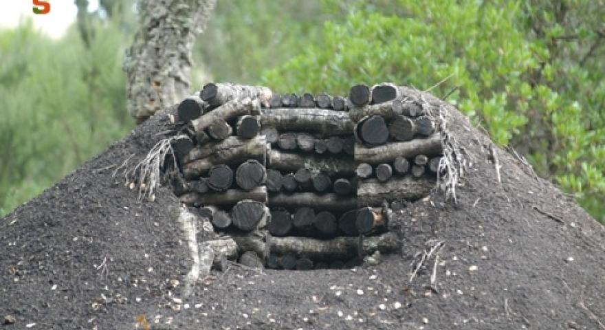 Oasi di Assai Carbonaia