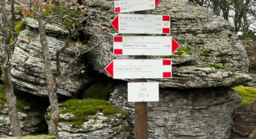 Monte Palai