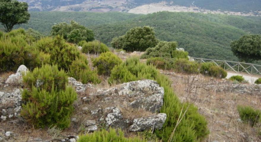 Panorama da Monte Mesanu
