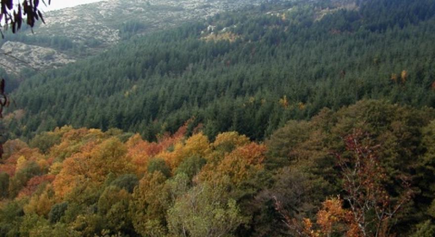 Panorama di Muggianeddu