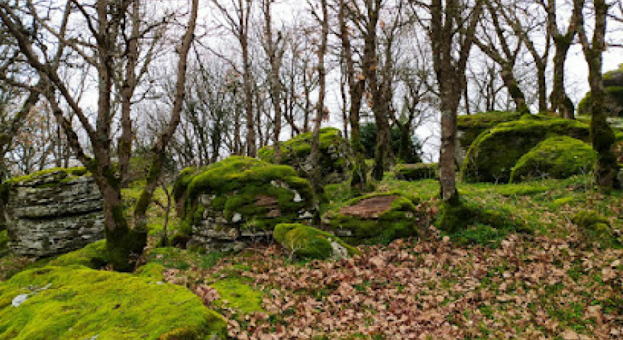 Parco di Ortachis