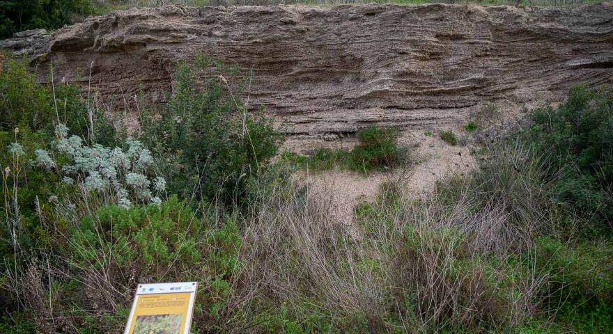 Spiaggia Fossile Molentargius (Comune di Cagliari)