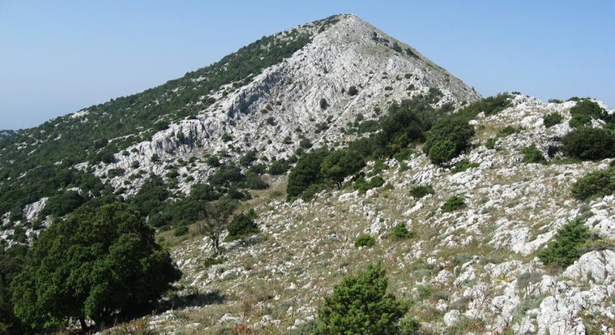 Punta Ferulargiu