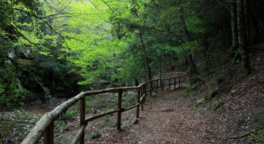 Lungo il rio Ermolinos Lungo il rio Ermolinos