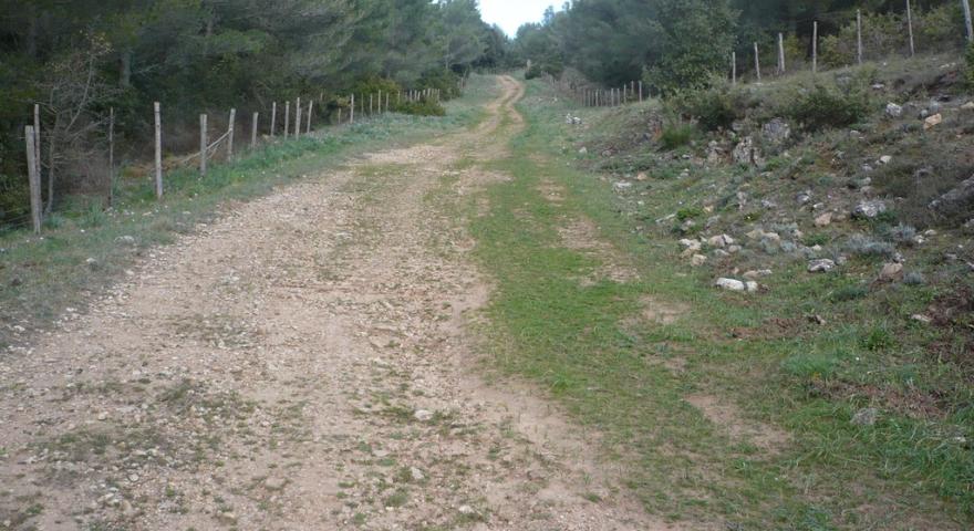 Sentiero 262 - Sa bia de is caminantis