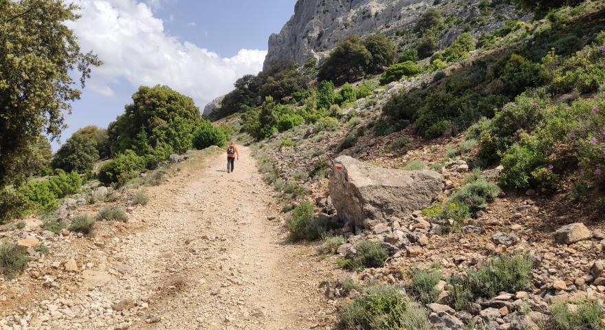 Salita verso Pradu (B 401)