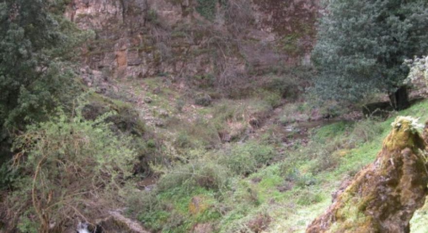 Seulo, vallata del Riu Su Semeccu