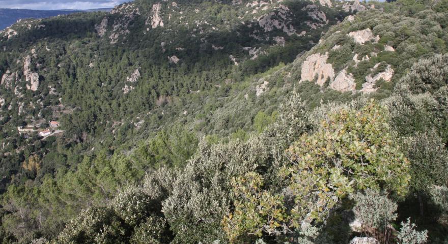Su Monte Orthobene, panoramica verso l'Ortobene
