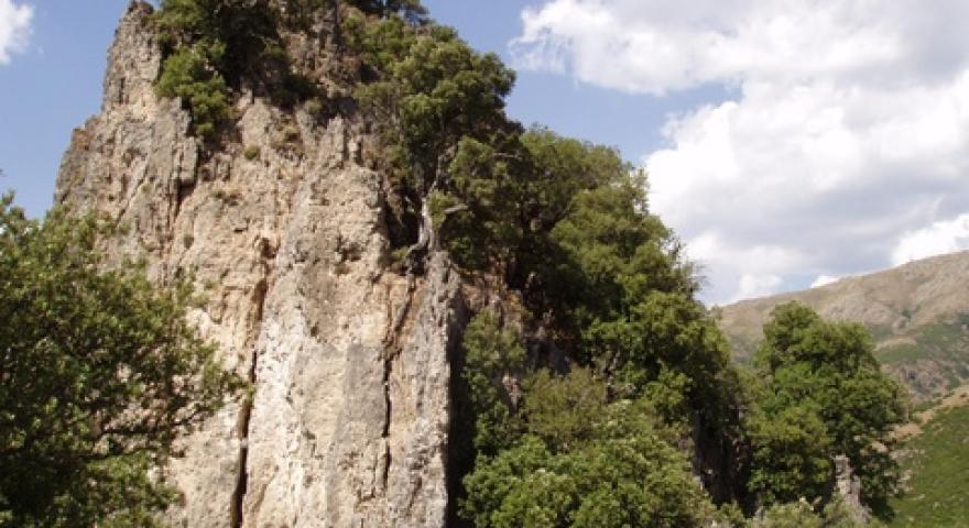 Tacco Calcareo di Genna Eragas 