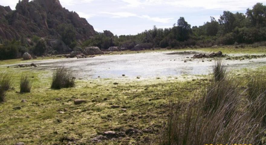 Talana Paule Mundugia