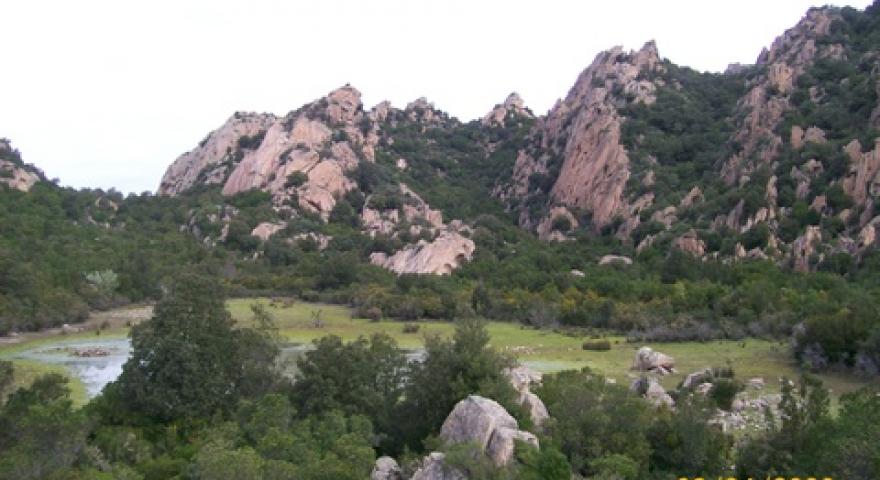 Talana Paule Mundugia