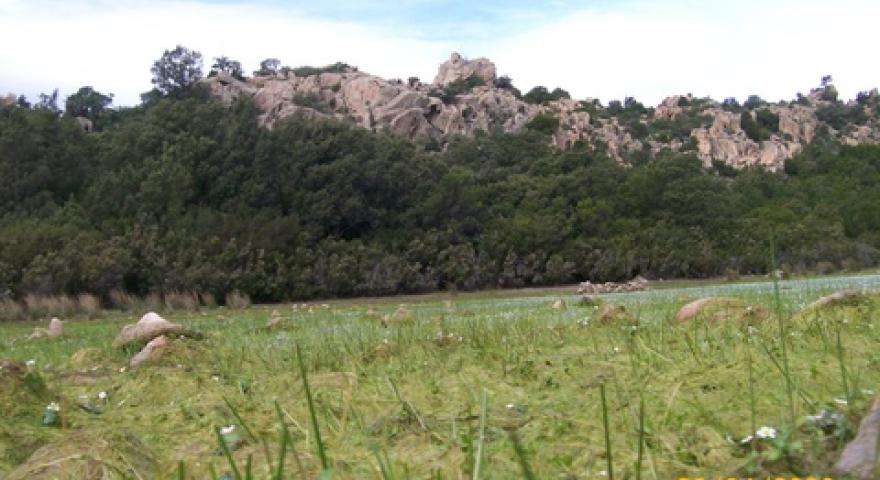 Talana Paule Mundugia