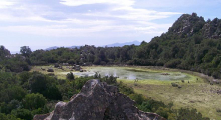 Talana, Paule Mundugia