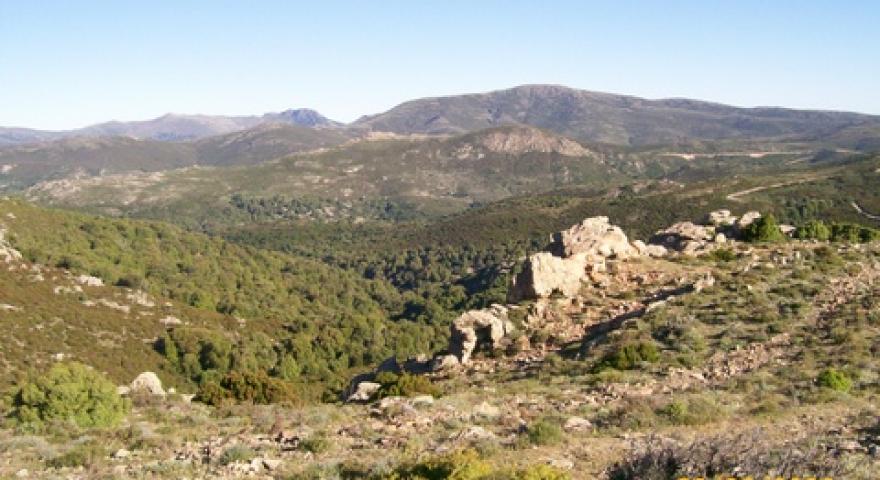 Talana vista panoramica 