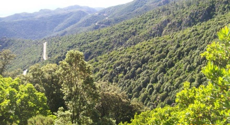 Talana vista panoramica 