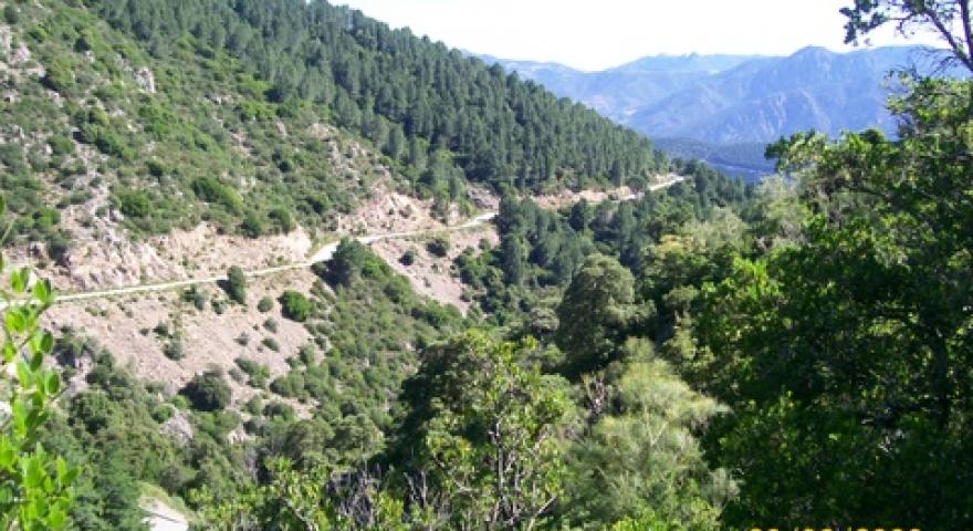 Talana vista panoramica 