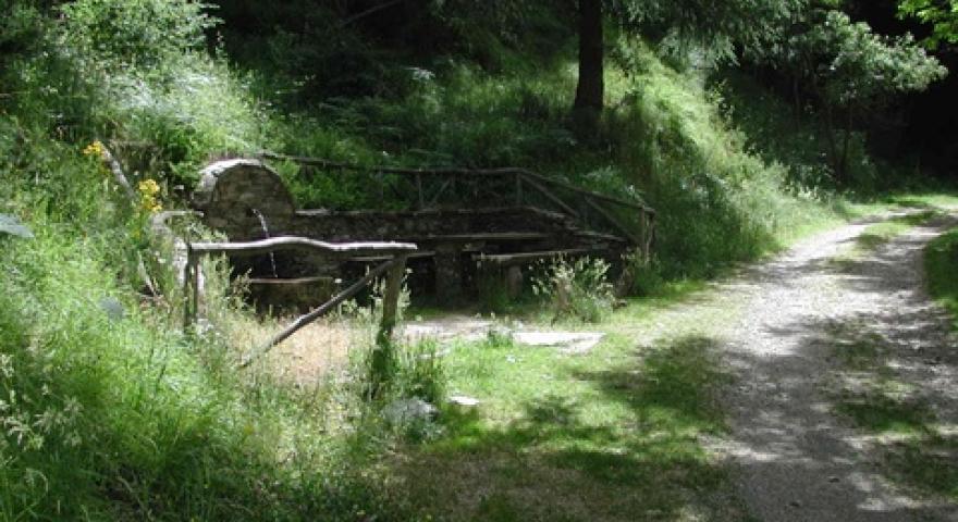 Tonara, sorgente in località Muggianeddu
