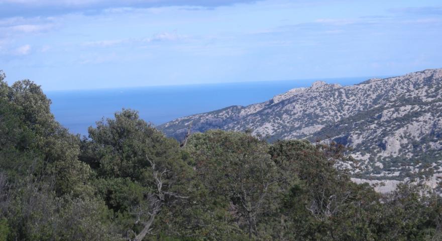 Vista panoramica del sentiero B- 181 nel territorio di Urzulei