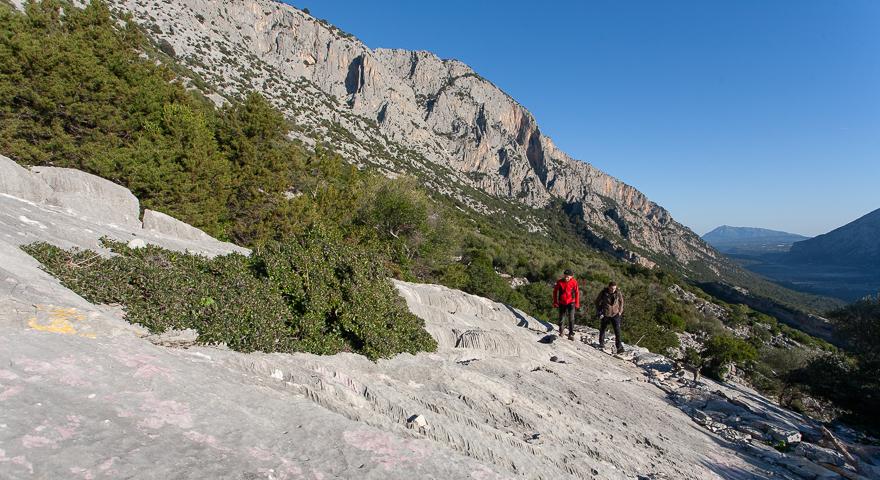 Verso Marghine Ruia 