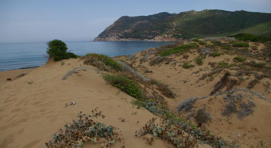 Arrivo dalle dune a spiaggia Porto Ferro