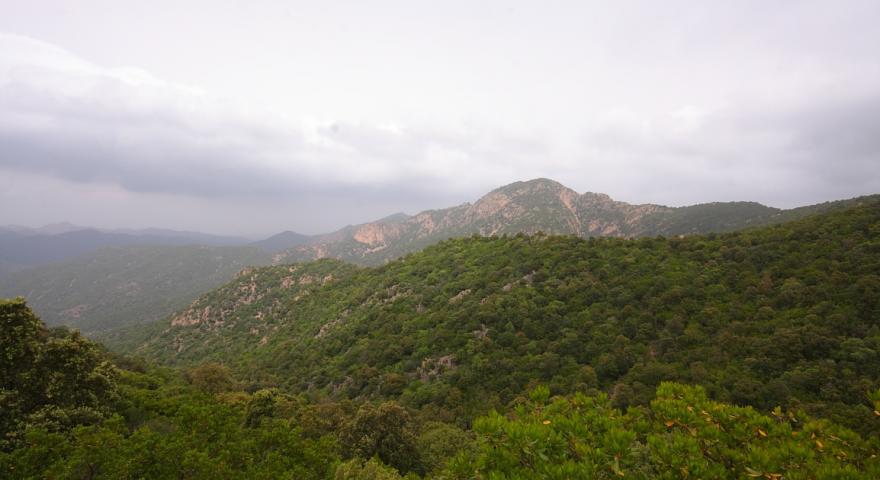 Gutturu Mannu; S'arcu de Chiccu Melis e (sullo sfondo) Serra sa Traia Gutturu Mannu; S'arcu de Chiccu Melis e (sullo sfondo) Serra sa Traia